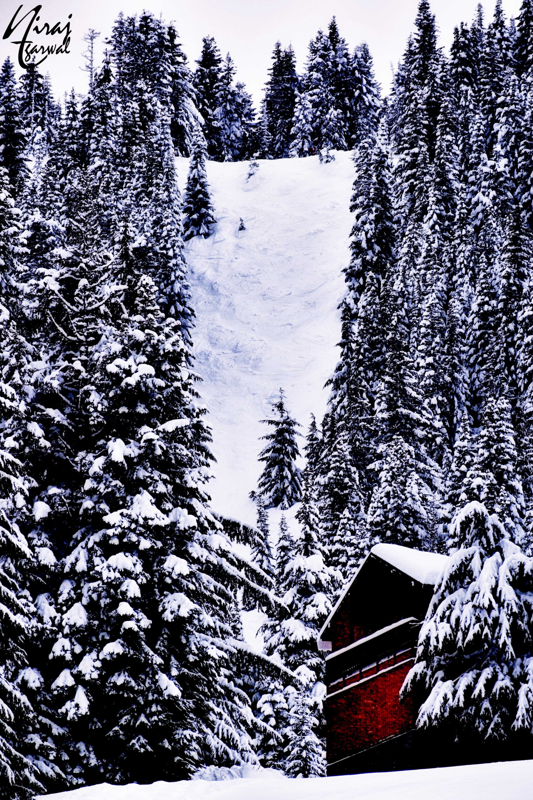 A cabin in the woods, during snowfall